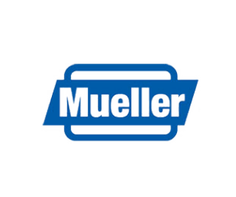 Mueller Steam